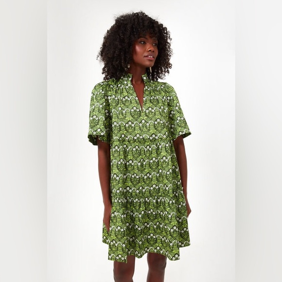 Tuckernuck Crawford Dress Ruffle Flutter Sleeve Mini Dandelion Daze Green Small - Picture 1 of 10
